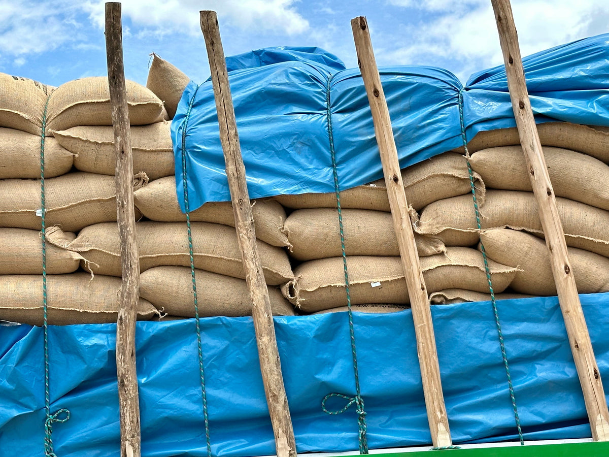Let's Talk Coffee - Peru Origin Trip