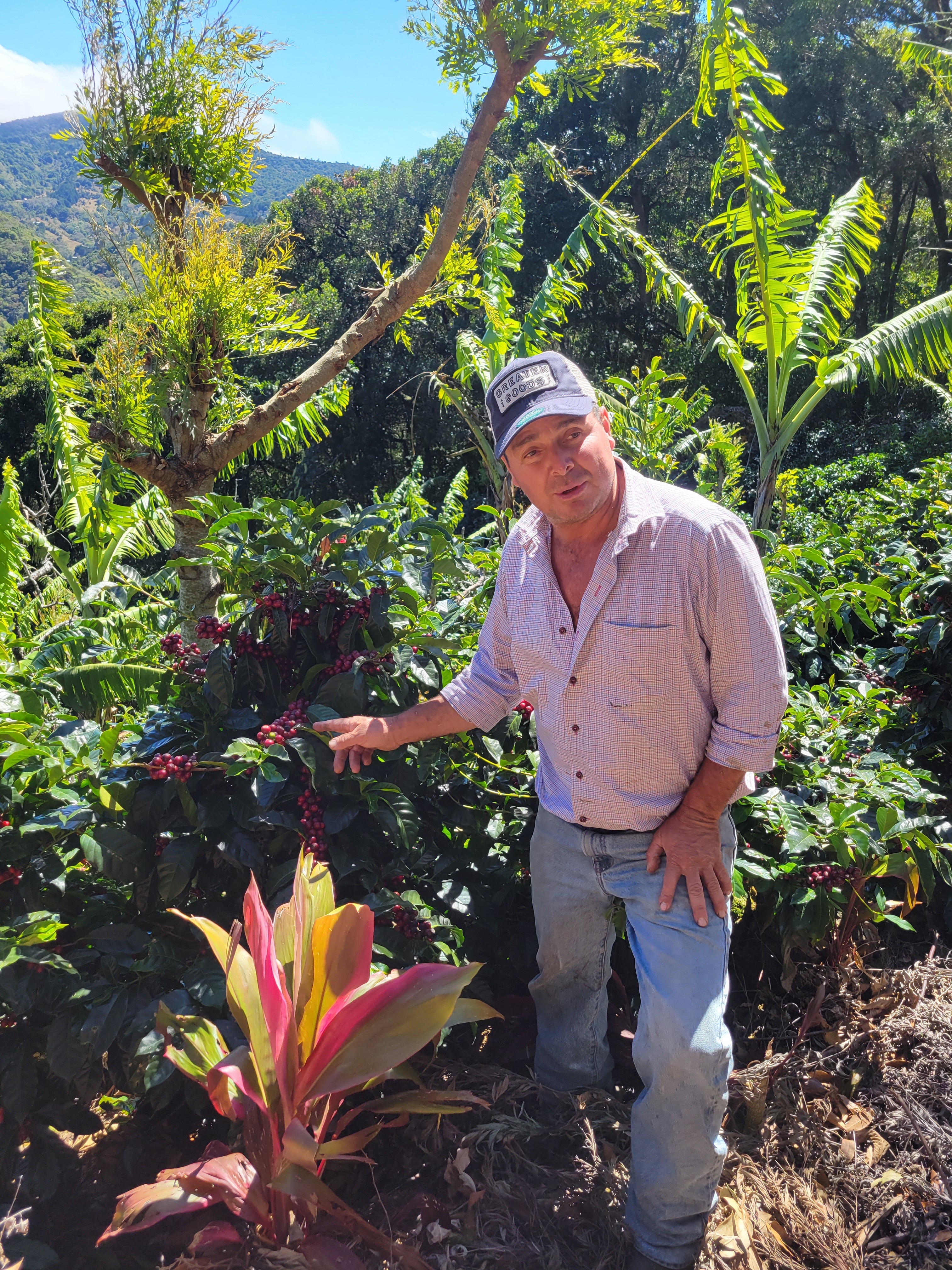 Take Me Home - Light Roast Costa Rica